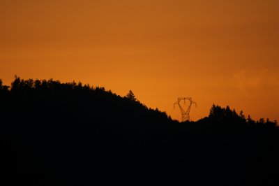 Living in an orange world_4795966047_l.jpg